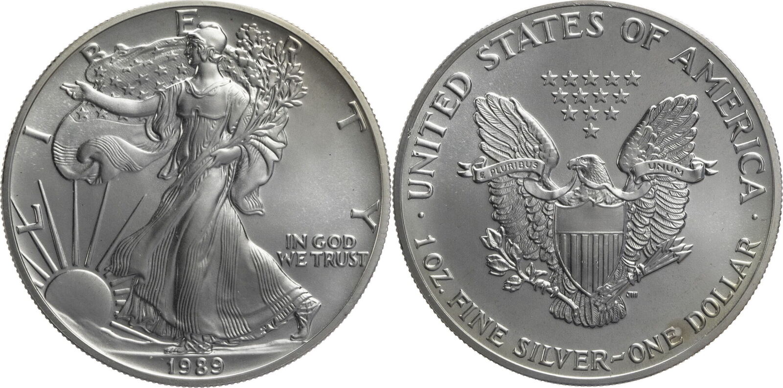 1989 American Silver Eagle