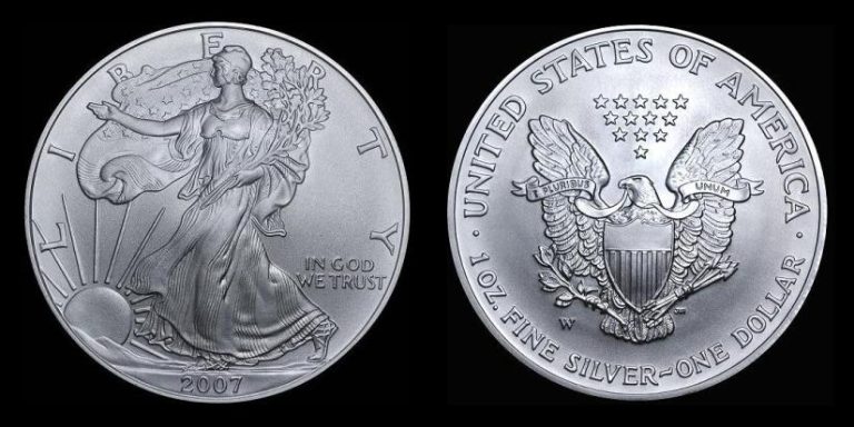 2007 W Burnished American Silver Eagle Coin