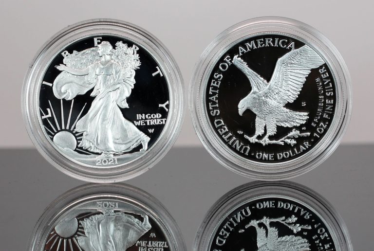 2021 S 1 Oz Proof American Silver Eagle Coin Type 2